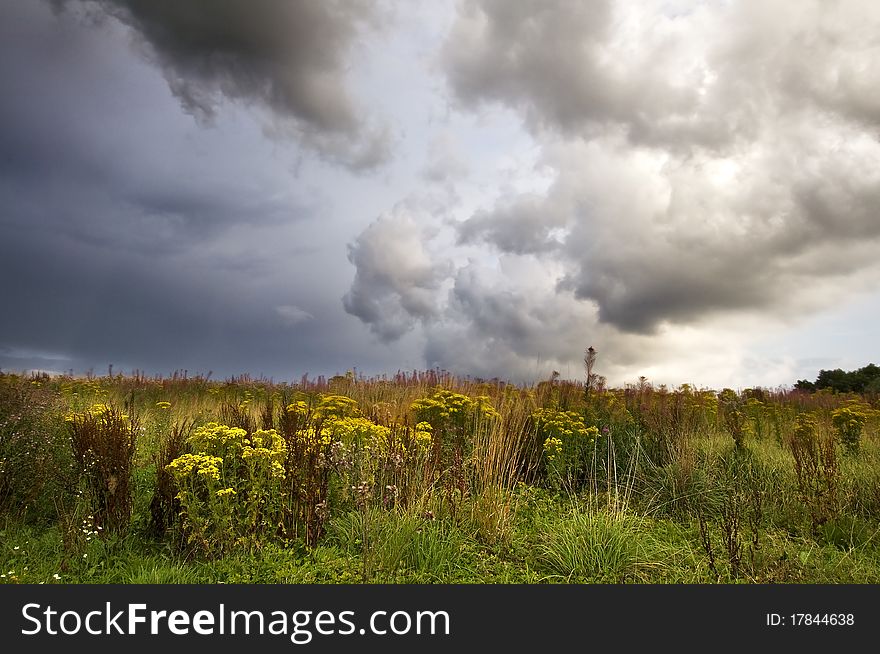 A meadow during stormy weather
