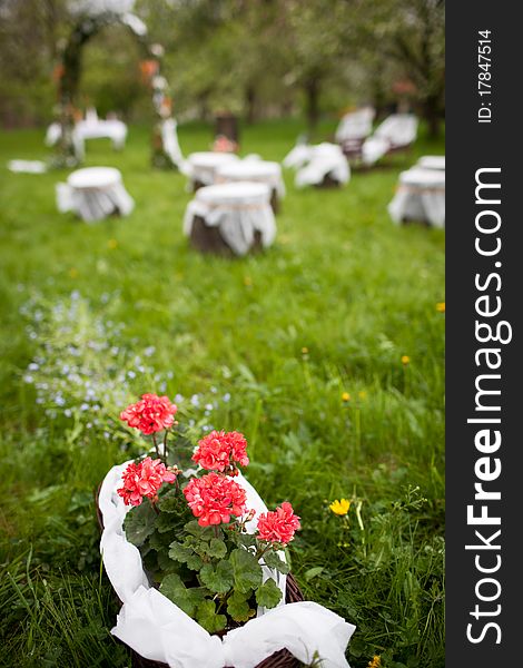 Splendid wedding venue - blossoming orchard on the 1st of May