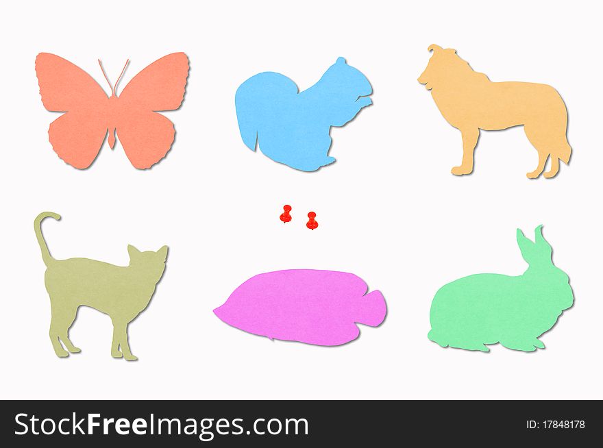 Animals colored notes on white background