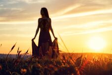 Young Beautiful Girl In A Light Summer Dress With A Husky Dog Posing In Backlit Sunset Standing Barefoot Royalty Free Stock Image