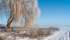Foggy Frosty Morning 2 Royalty Free Stock Image Foggy Frosty Morning 2 Royalty Free Stock Image