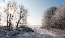 Clear Winter Morning Stock Photography