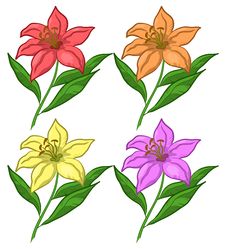 Flowers Lily, Set Stock Photo Flowers Lily, Set Stock Photo