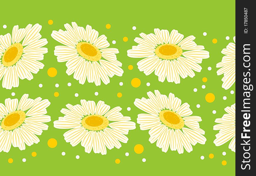 Seamless floral green border with white daisy. Seamless floral green border with white daisy