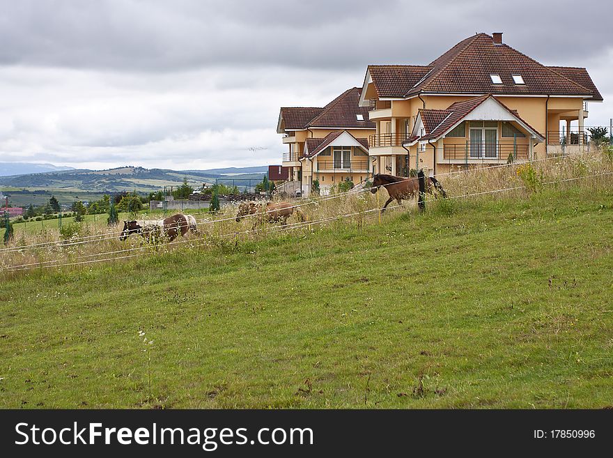 Mountain farm landscape with pony running in front yard.