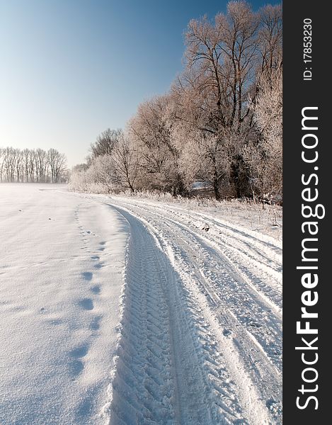 Broad trodden road goes in the winter forest. Broad trodden road goes in the winter forest