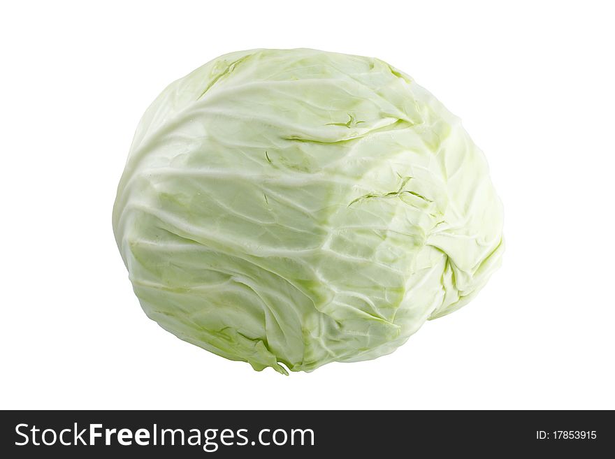 One cabbage on white background