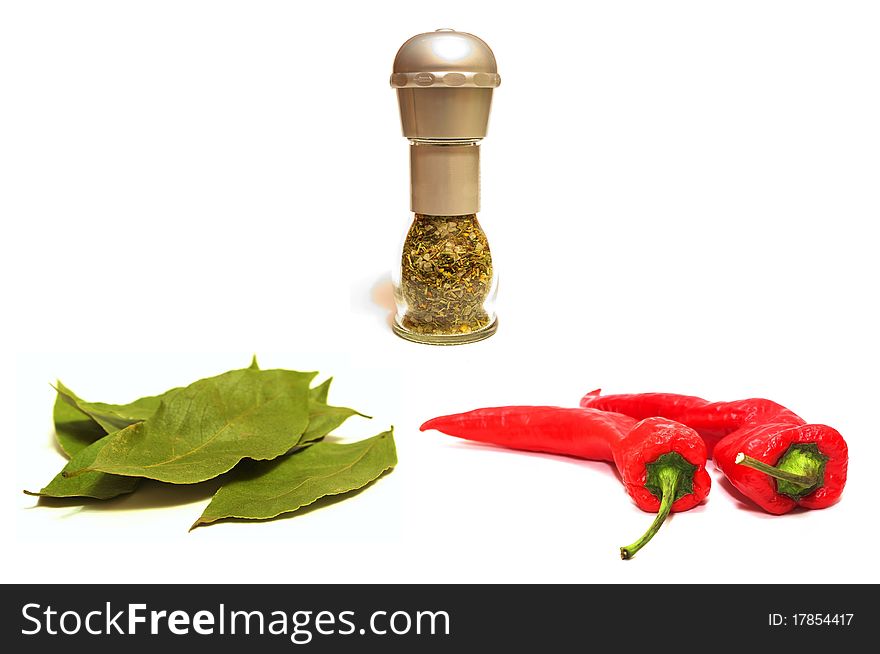 Photo of the spices on white background