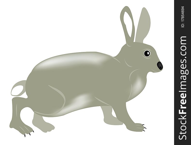 Gray Rabbit On White Background