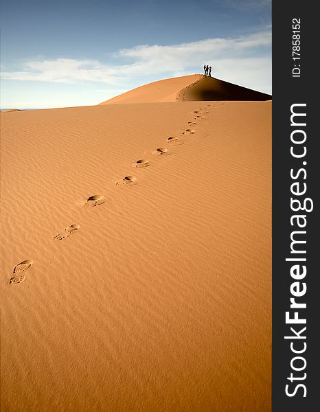 Footsteps In The Desert
