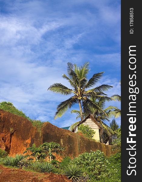 Tropical Hut On A Clifftop