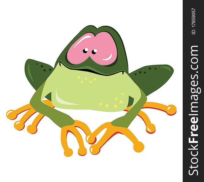 Cartoon frog isolated on white. Vector illustration.