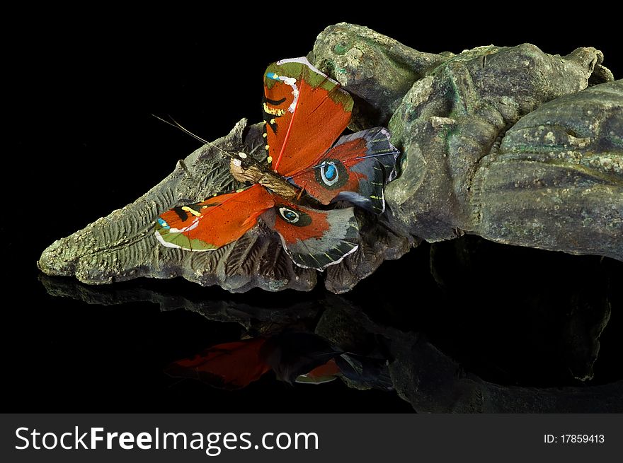 Tomb figurine with butterfly on black glossy surface