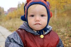 The Boy Walks In The Autumn In Park Stock Images The Boy Walks In The Autumn In Park Stock Images