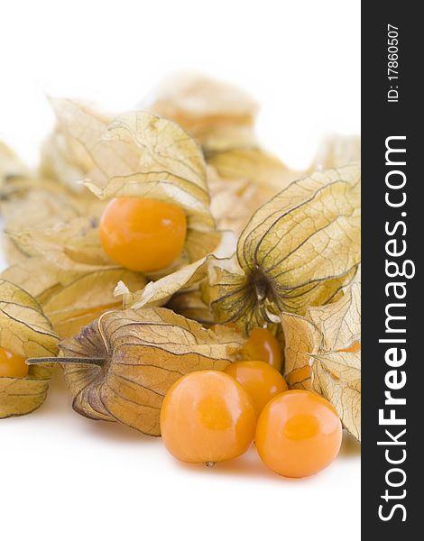 Fresh small physalis isolated on white background, jam-berry fruits. Fresh small physalis isolated on white background, jam-berry fruits