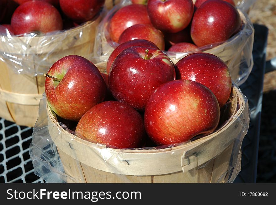 A basket of fresh autumn apples in the sunshine. A basket of fresh autumn apples in the sunshine.