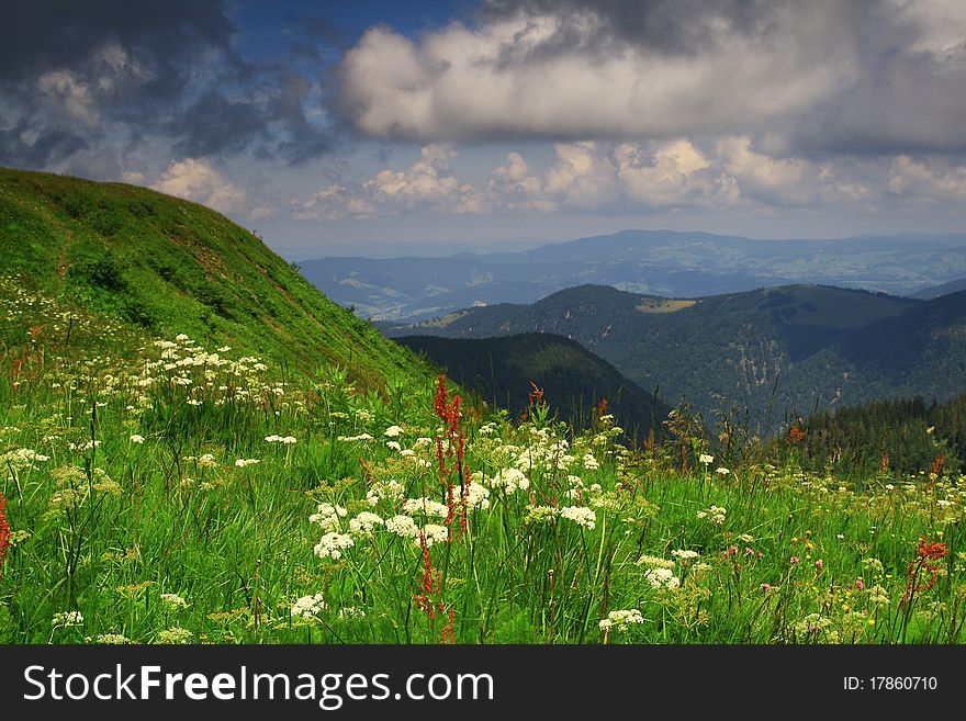 Mount Feldberg in Germany, 2009