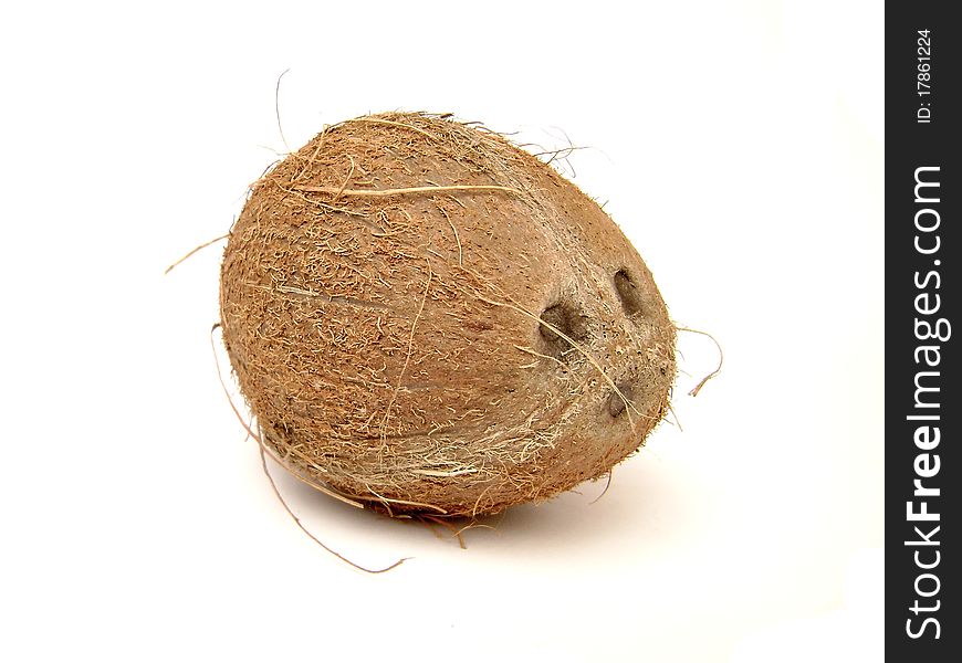 Single coconut, isolated on white background image