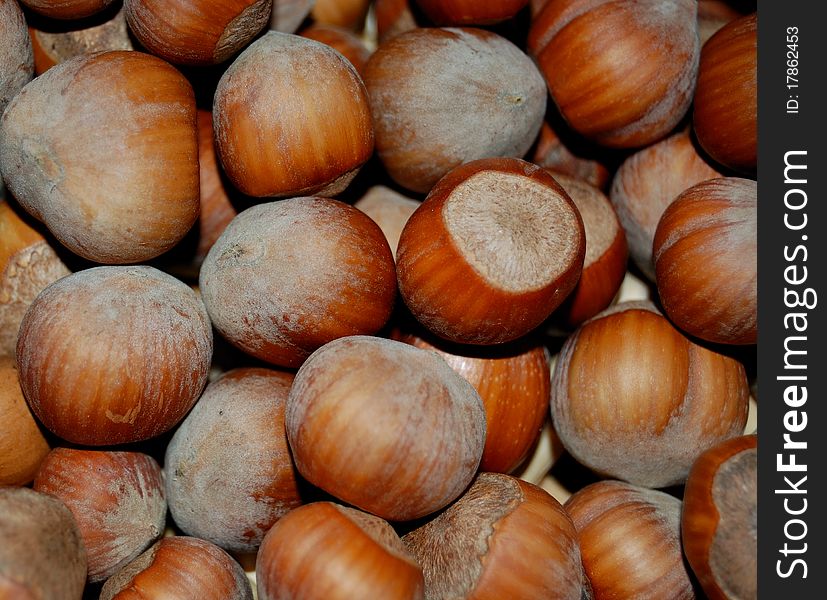 View of a group of hazelnuts at fall.