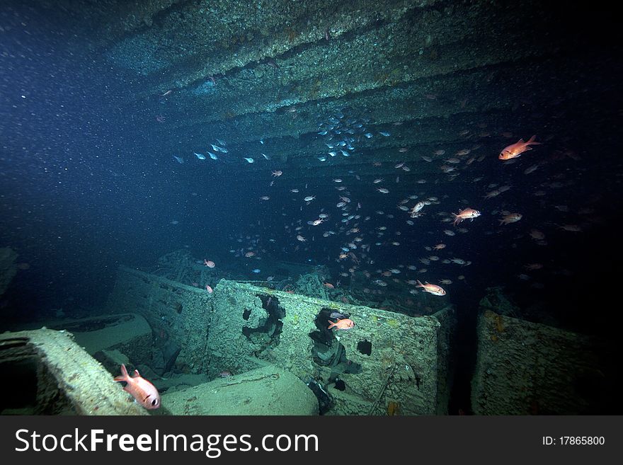 Bedford trucks cargo of the SS Thistlegorm.