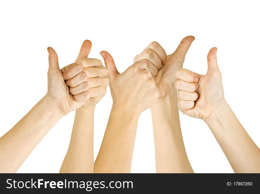 Many woman's hand lifted up on white background. Many woman's hand lifted up on white background