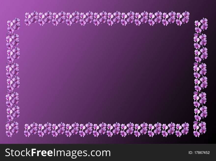 Purple
 orchid petal border on Purple. Purple
 orchid petal border on Purple