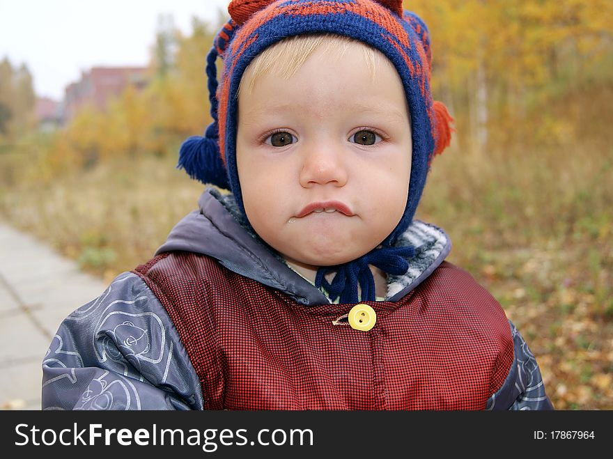 Portrait of the little toddler in the autumn in park. Portrait of the little toddler in the autumn in park