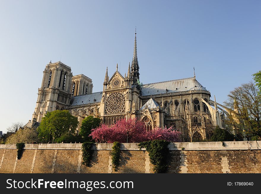 Afternoon View of Notredame Cathedral. Afternoon View of Notredame Cathedral