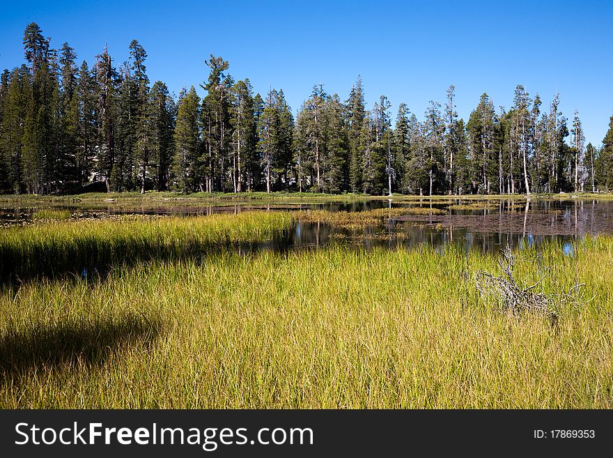 Siesta Lake, Yosemite National Park in California, USA