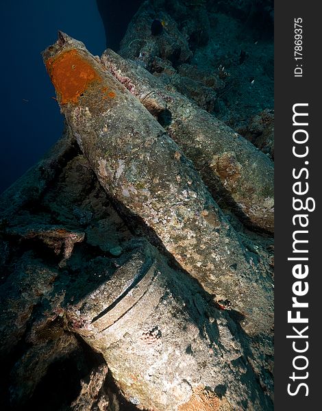 15   shells on the SS Thistlegorm.