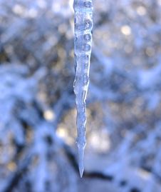 Brilliant Icicle In Winter At A Blur Background Royalty Free Stock Images