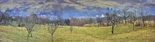 Fog Panorama Over Village And Orchard Stock Image Fog Panorama Over Village And Orchard Stock Image
