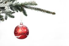 Christmas Ball On Christmas Tree Royalty Free Stock Image Christmas Ball On Christmas Tree Royalty Free Stock Image