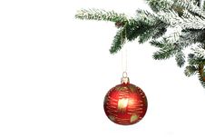 Christmas Ball On Christmas Tree Royalty Free Stock Photography Christmas Ball On Christmas Tree Royalty Free Stock Photography