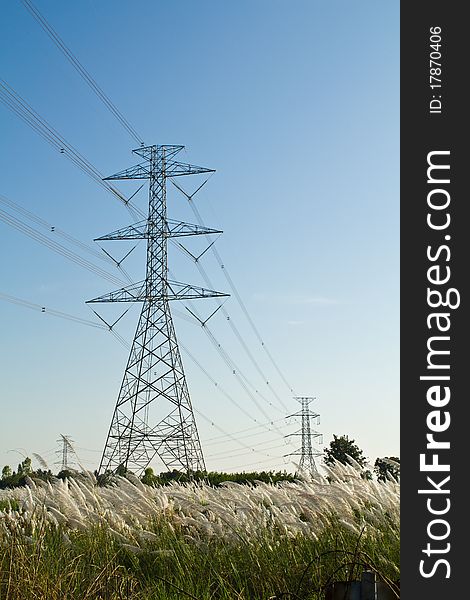 Electricity tower across the reed field