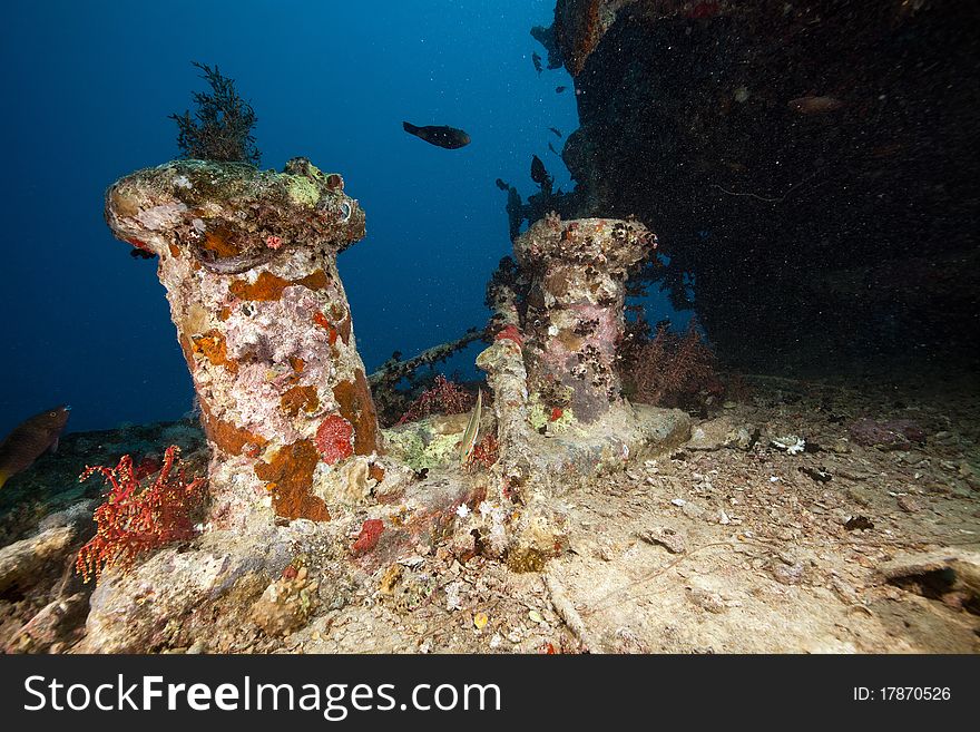 SS Thistlegorm in the Red Sea