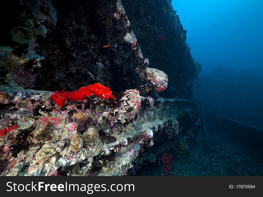 Coal tender on the SS Thistlegorm