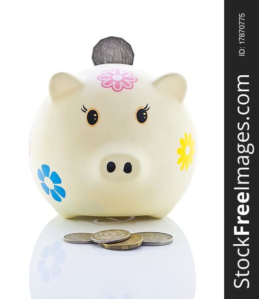 Piggy Bank With Coin Insert