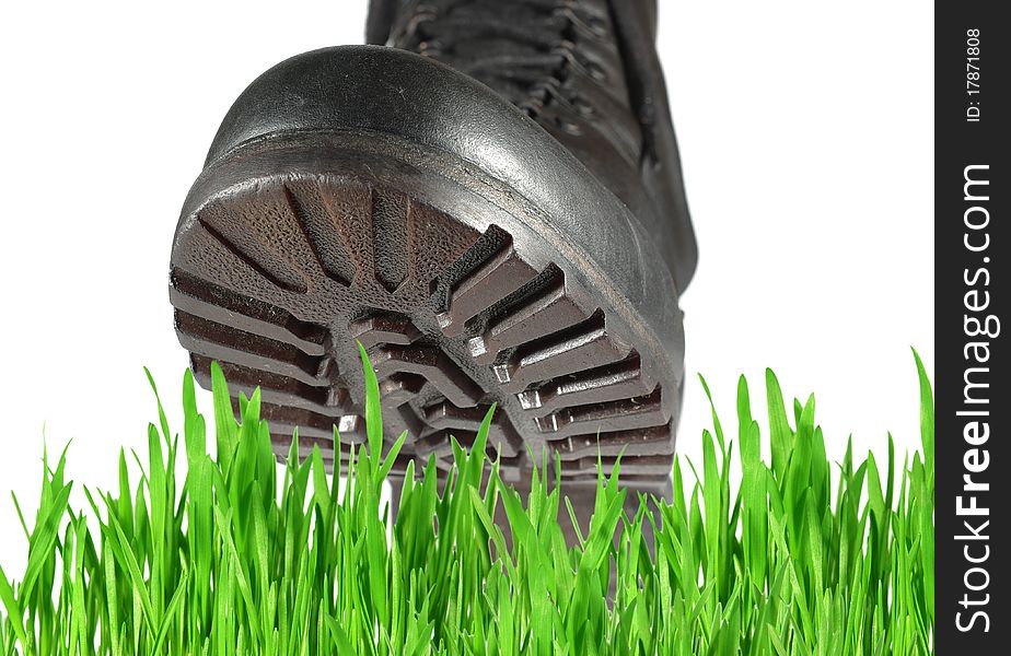 Military shoe and grass on white background