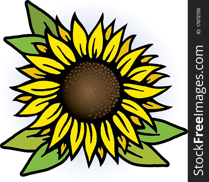 Simplified illustration of a bright Sunflower