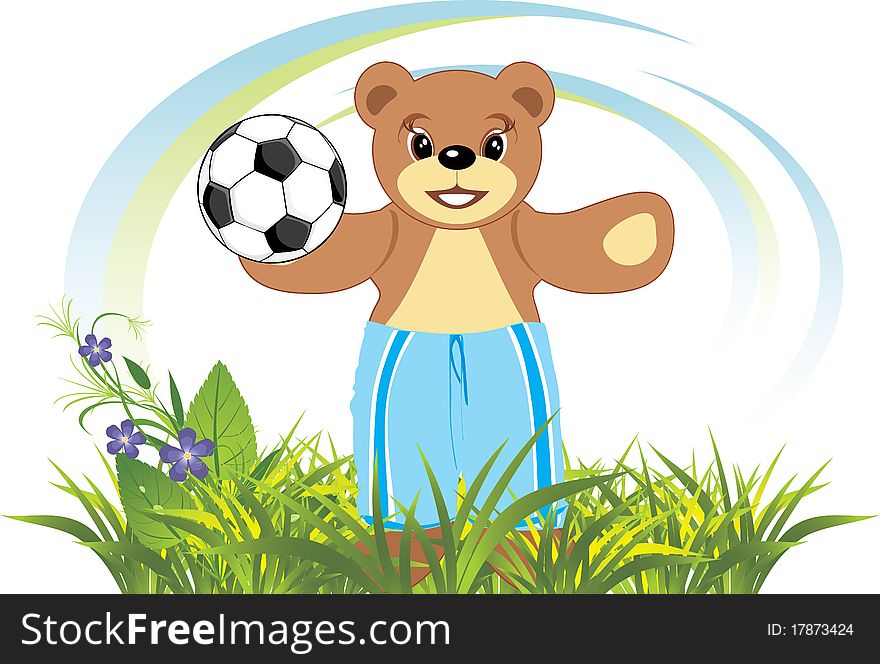 Bruin with soccer ball on the meadow. Illustration