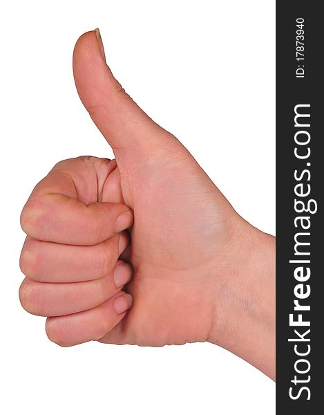 Picture of closed fist and thumb on high. Picture of closed fist and thumb on high