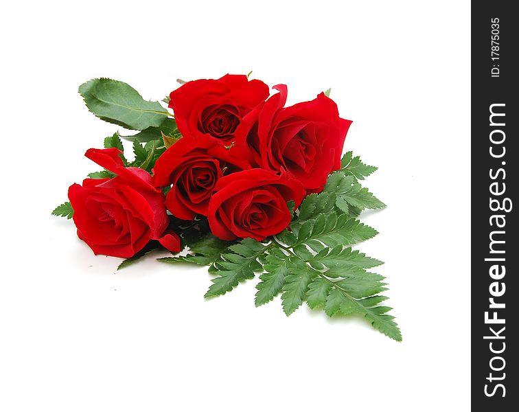 Rose flowers gift isolated background