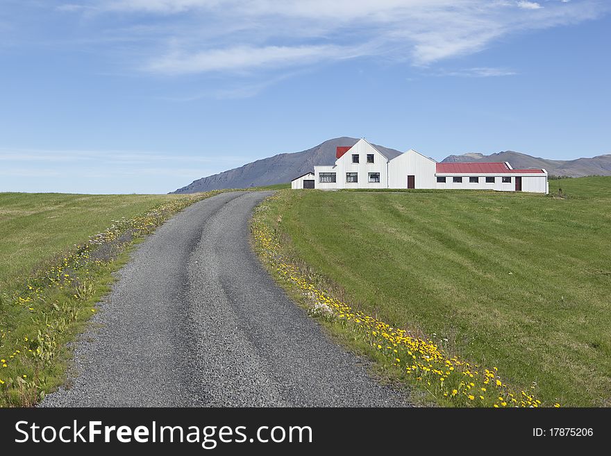 Beautiful Summer Picture From Iceland