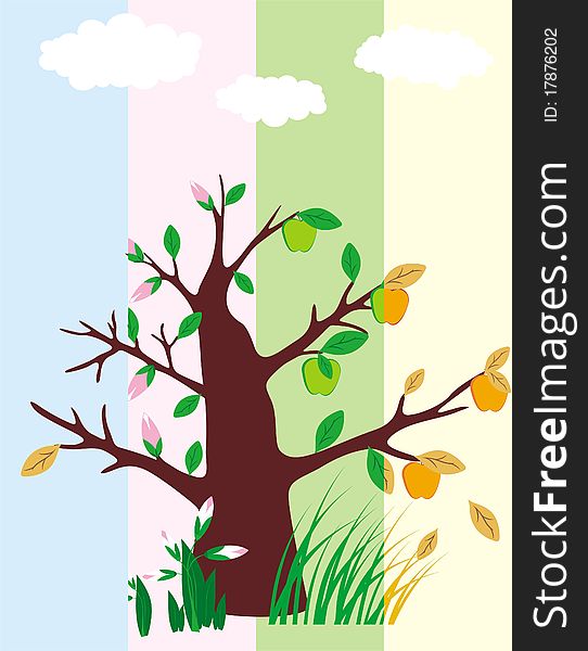 Four seasons of apple tree, on vertical strip background. Four seasons of apple tree, on vertical strip background