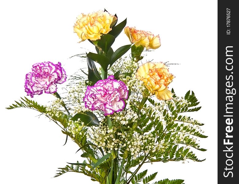 Bunch of carnations isolated on white