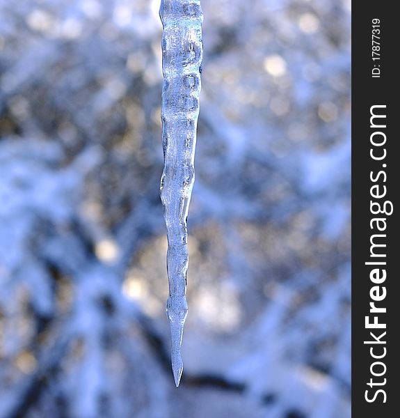 Brilliant icicle in winter at a blur background