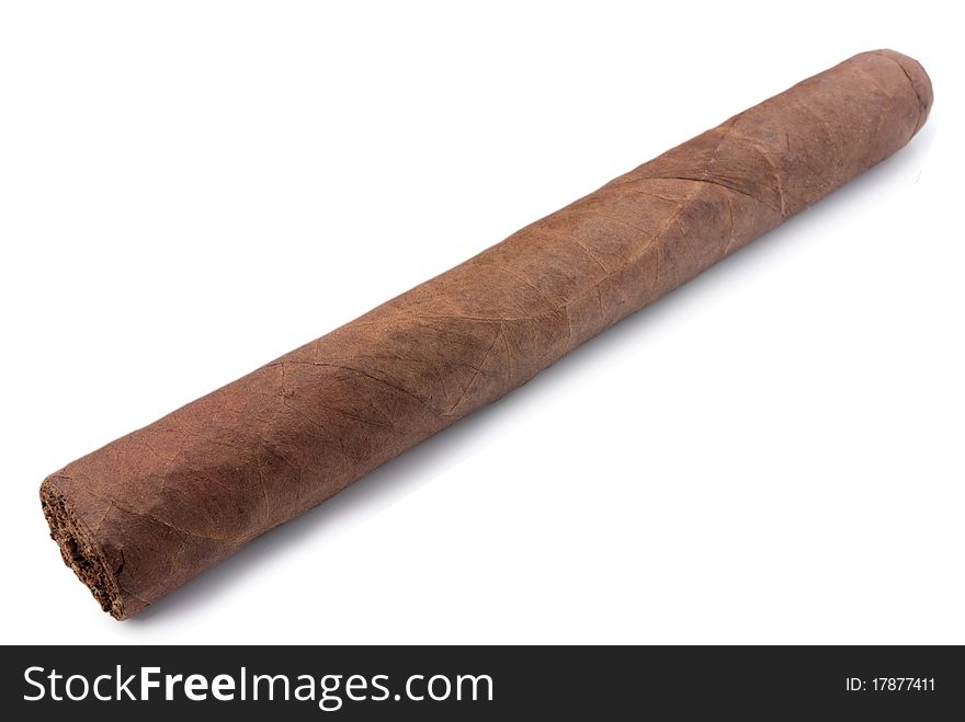 Cigar on a white background