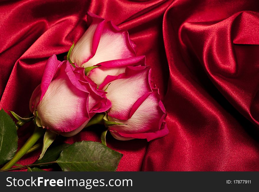Three roses on satin background