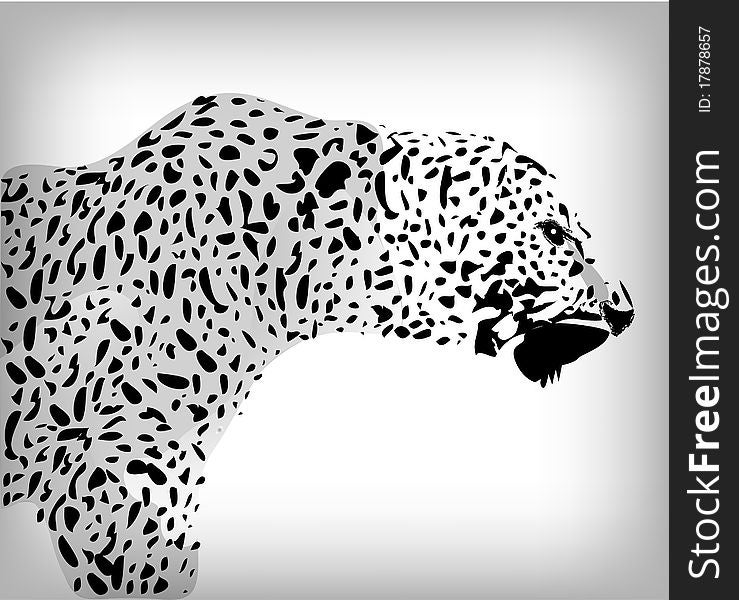 Leopard, abstract background